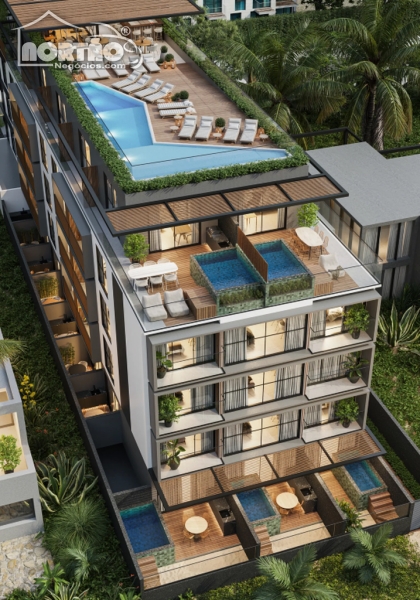 Casa, 1 quarto, 24 m² - Foto 3