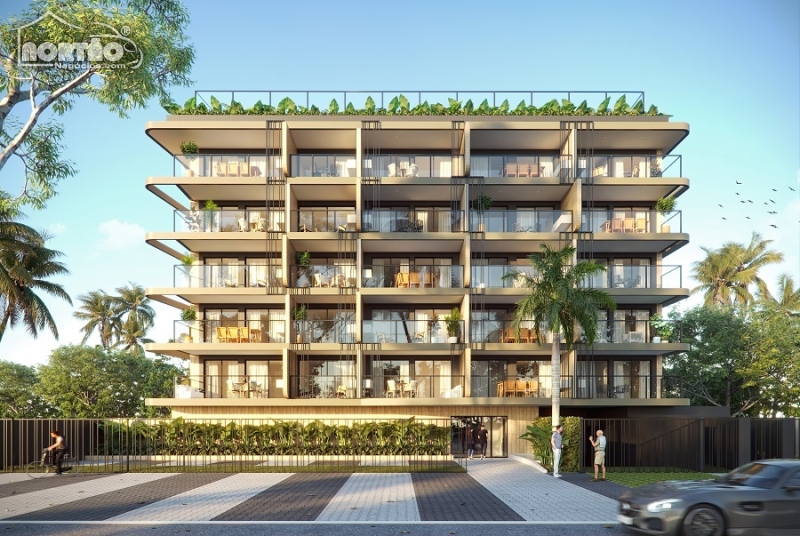 Casa, 1 quarto, 22 m² - Foto 1