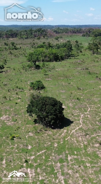SÍTIO a venda no UNIÃO DO NORTE em Guarantã do Norte/MT