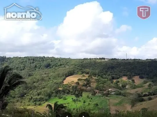 Terreno - Foto 3