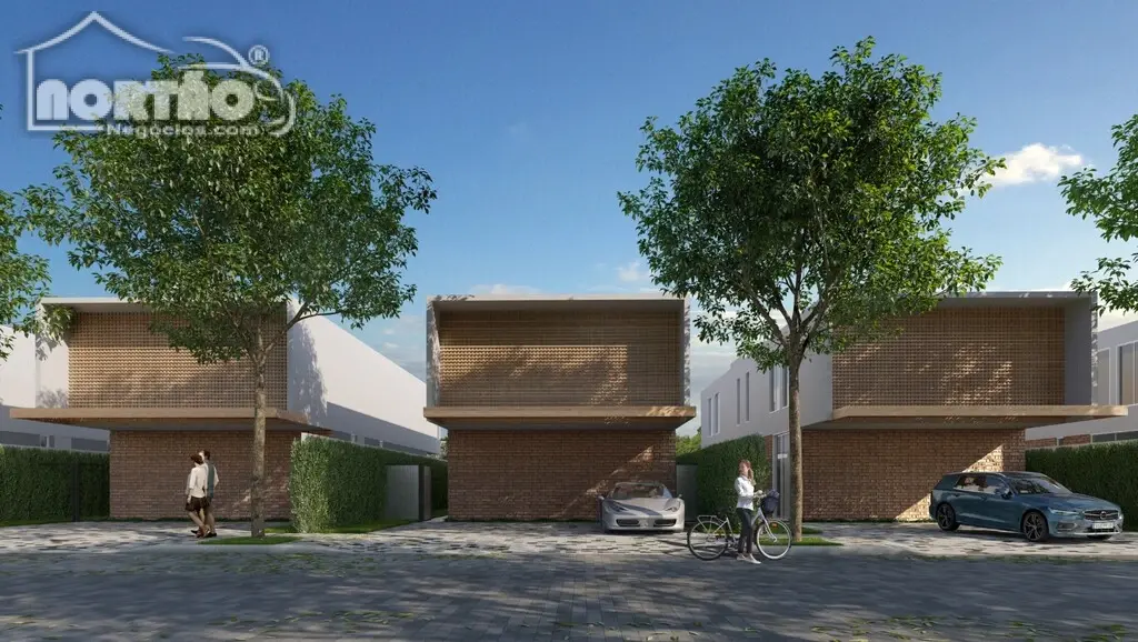 Casa, 4 quartos, 314 m² - Foto 6