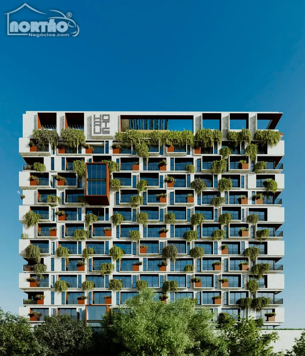 Casa, 1 quarto, 32 m² - Foto 3