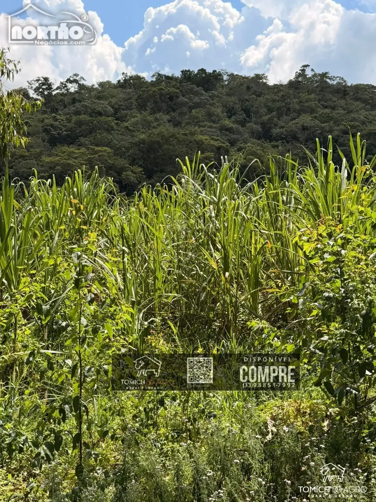 Casa, 29 m² - Foto 7