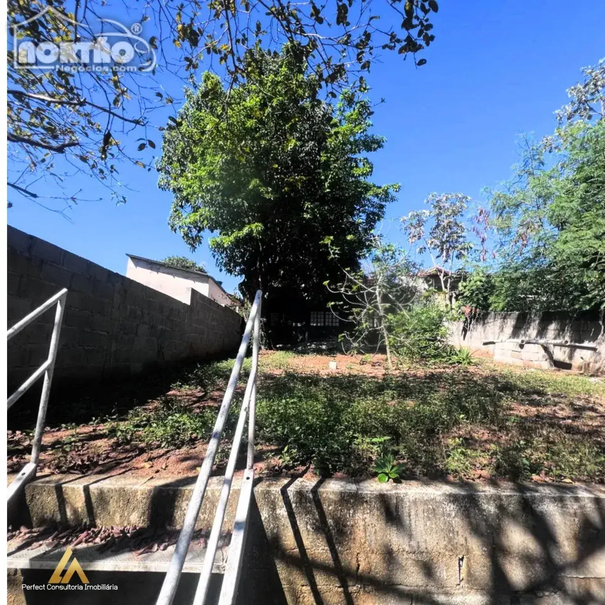 Casa, 3 quartos, 600 m² - Foto 3