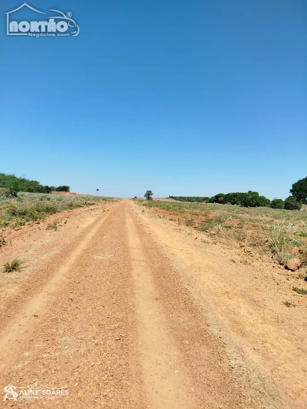 Casa, 10000 m² - Foto 5