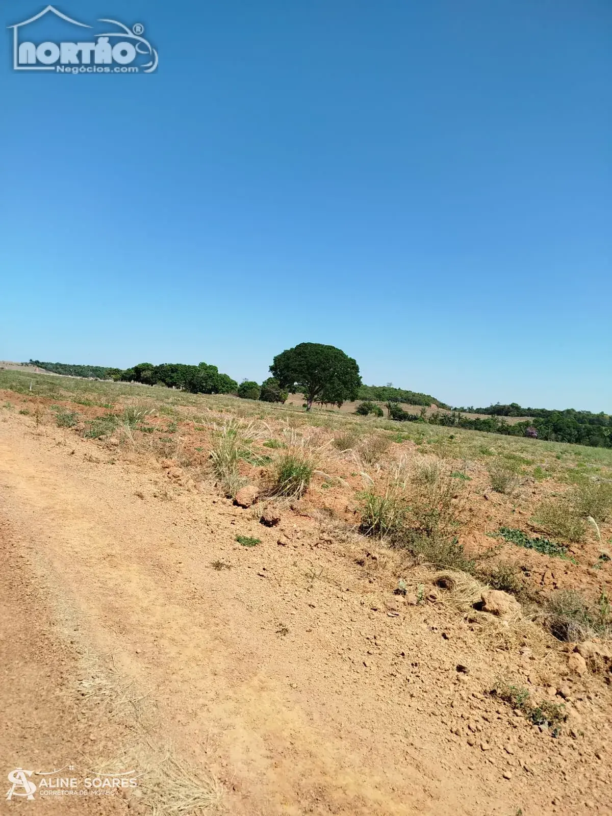Casa, 10000 m² - Foto 8