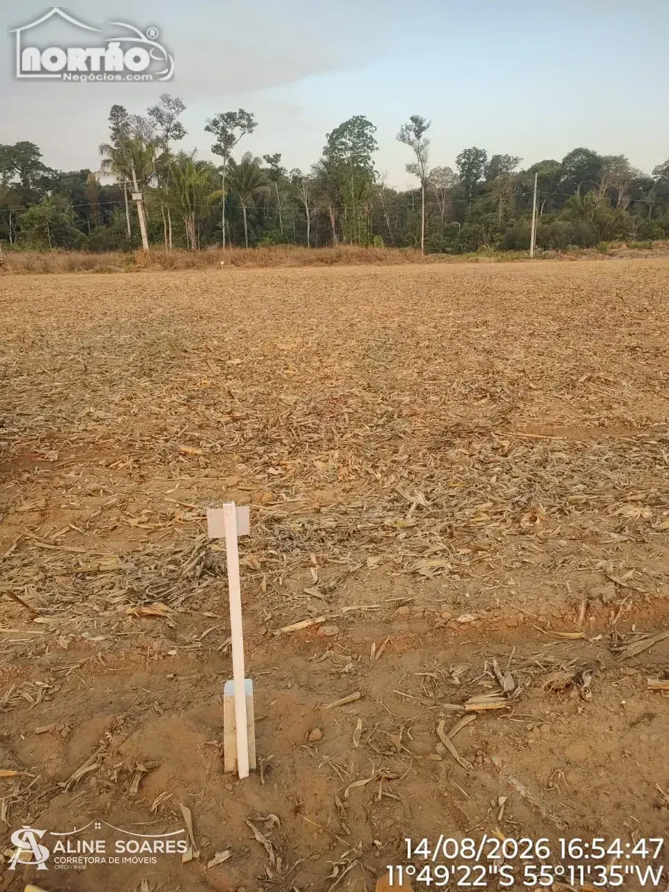 Casa, 1000 m² - Foto 6