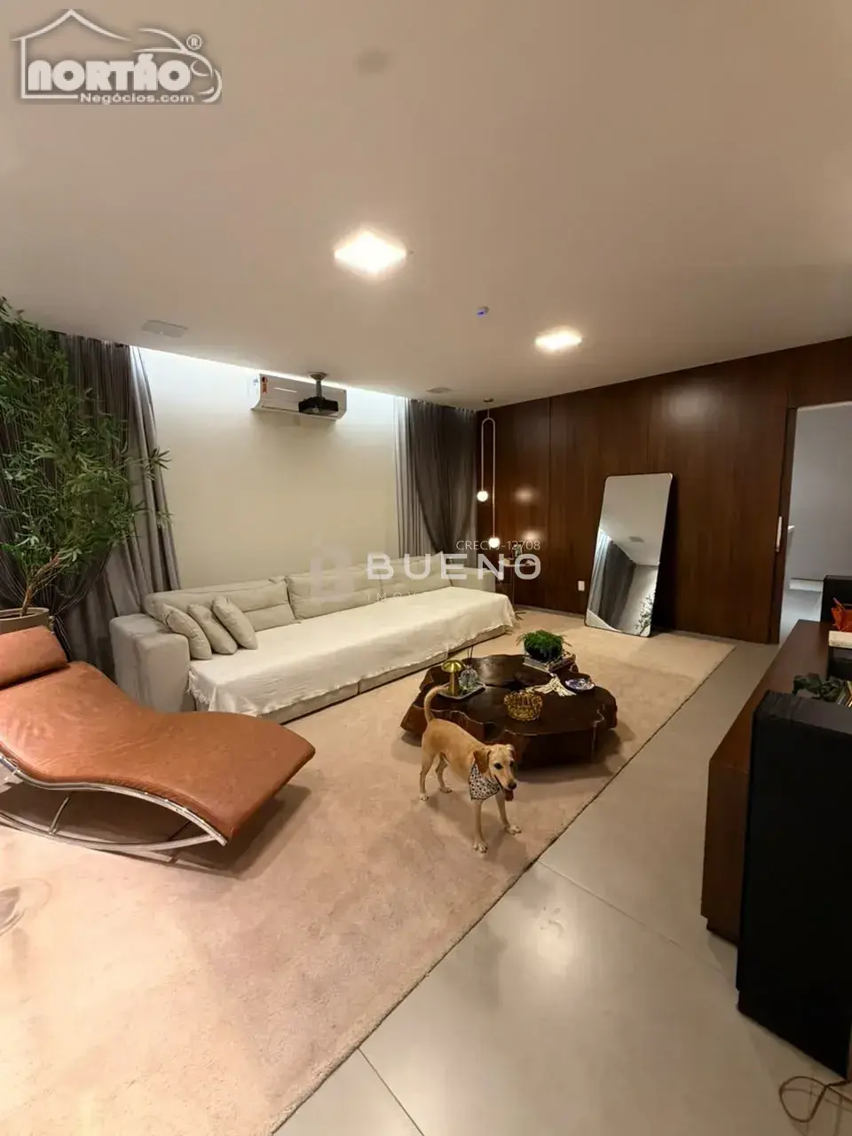 Casa, 1 quarto, 400 m² - Foto 4