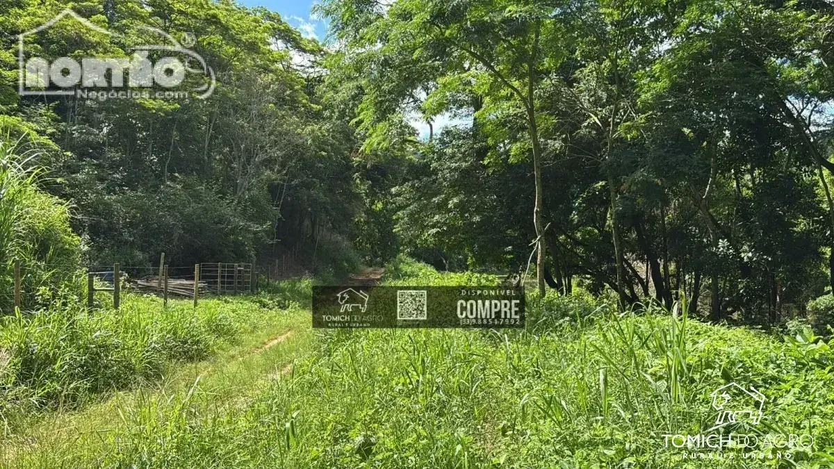 Casa, 58 m² - Foto 10