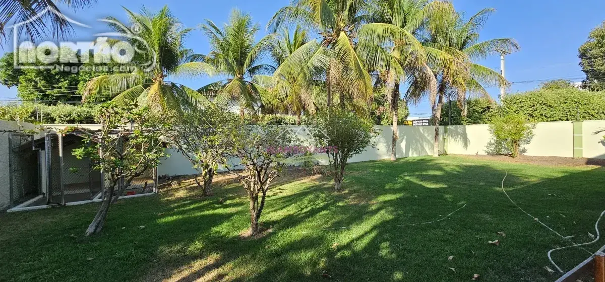 Casa, 4 quartos - Foto 6