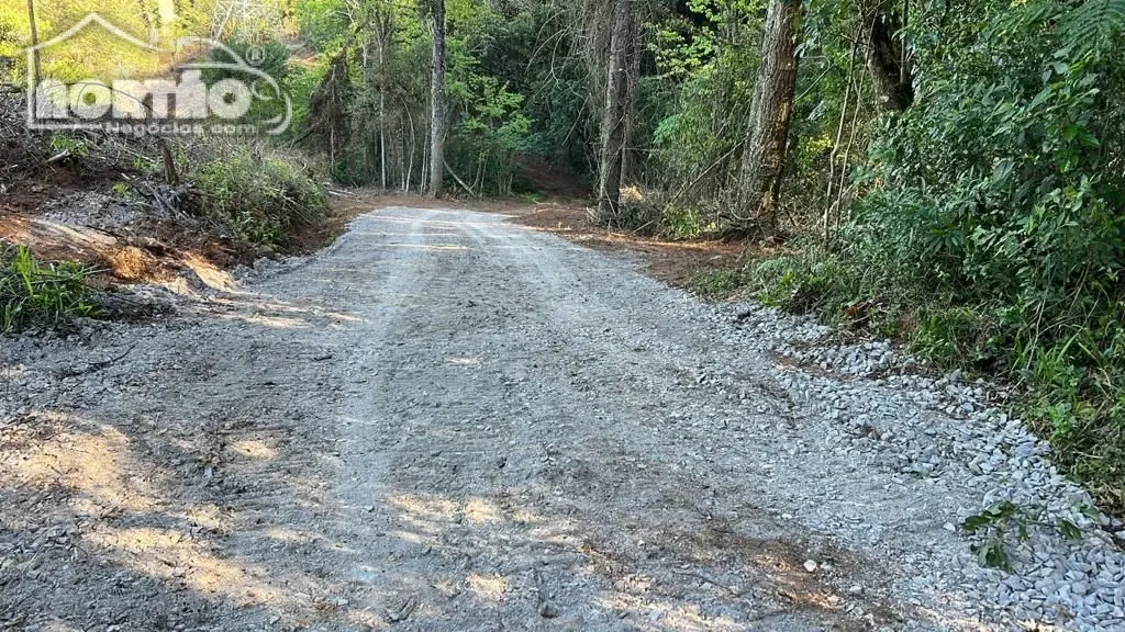 Terreno, 2 hectares - Foto 1