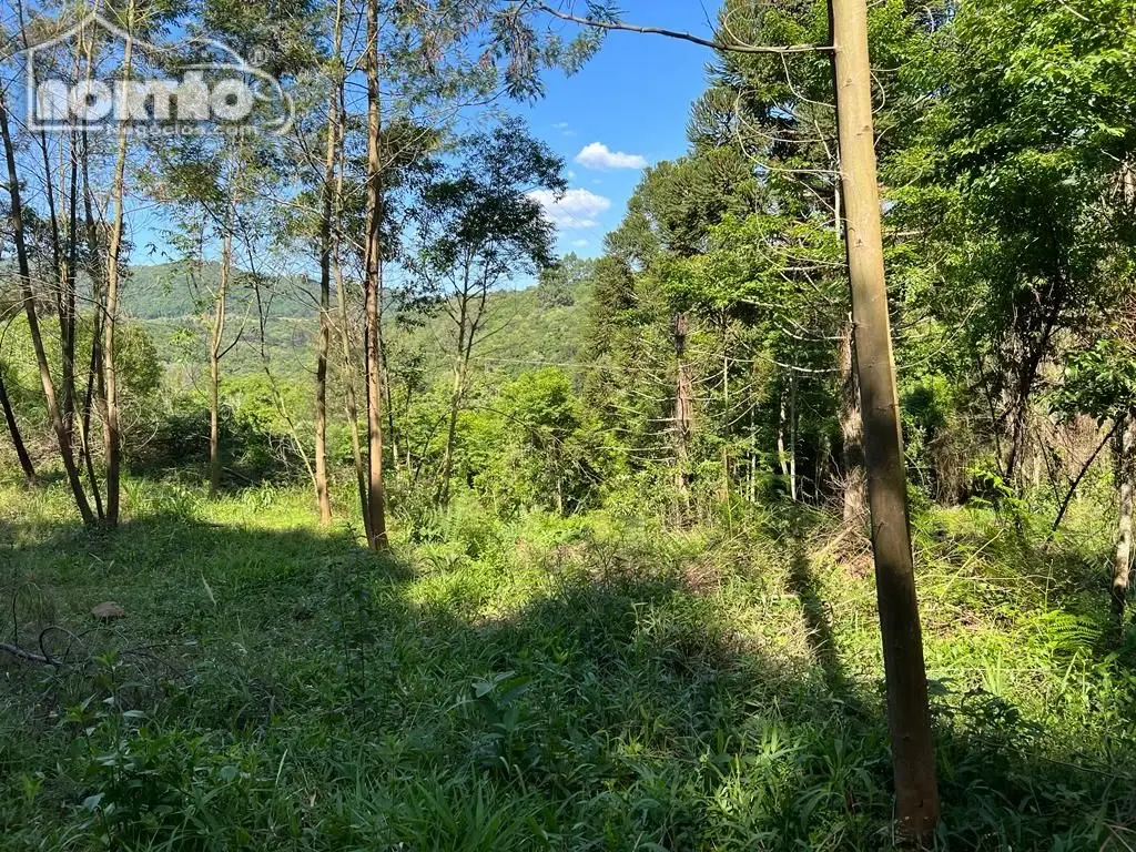 Terreno, 2 hectares - Foto 2