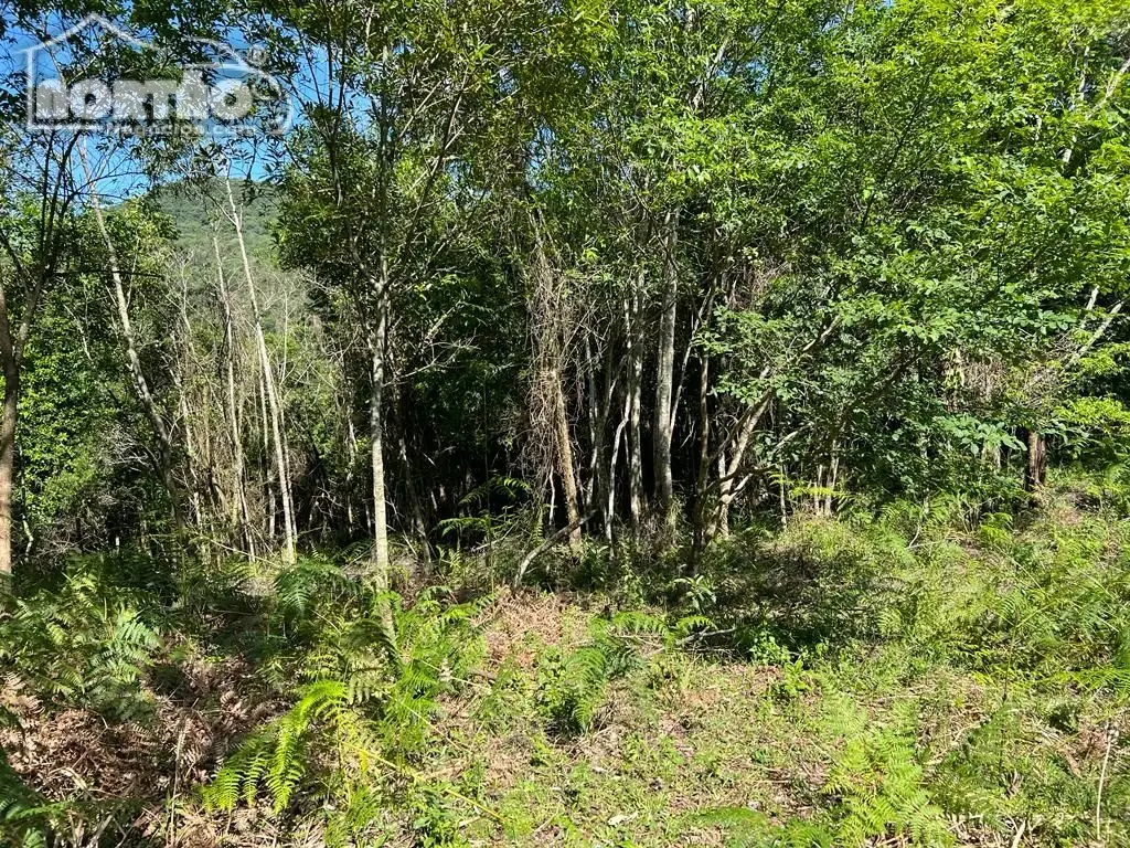 Terreno, 2 hectares - Foto 7