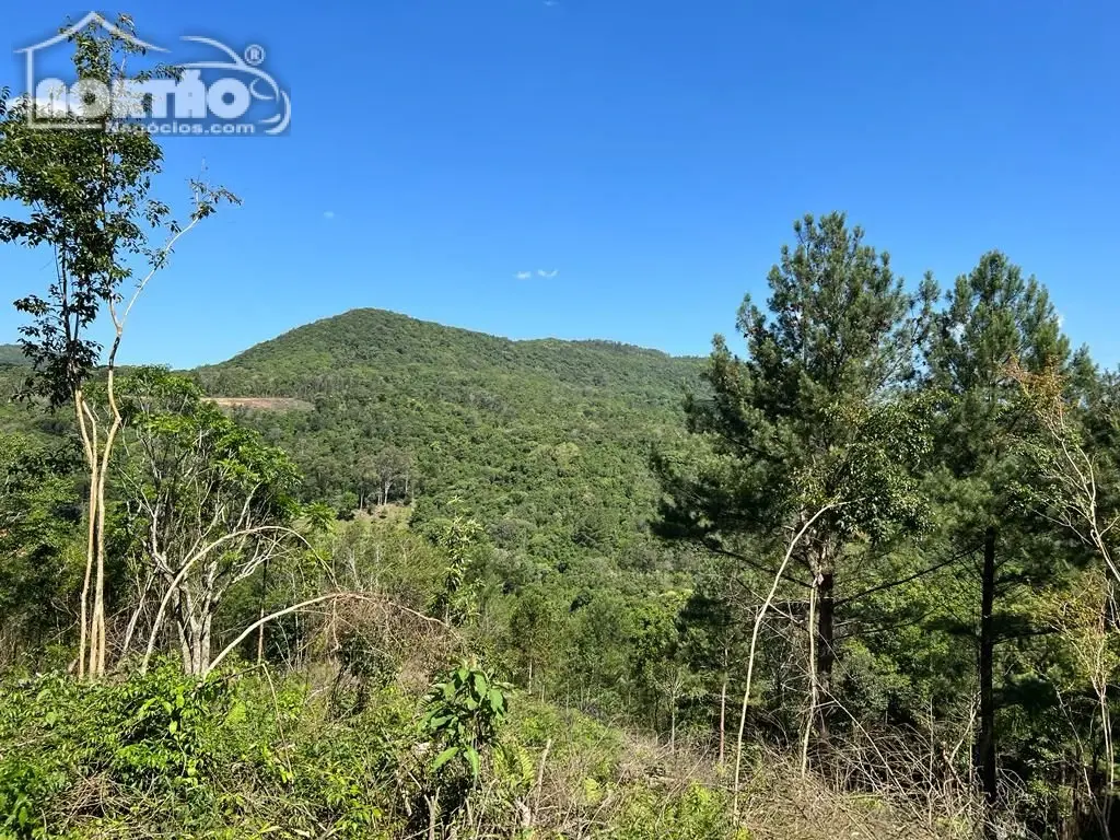 Terreno, 2 hectares - Foto 8