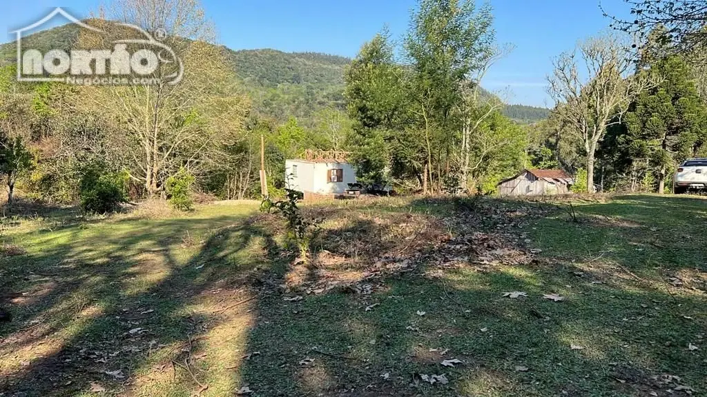 Terreno, 2 hectares - Foto 2