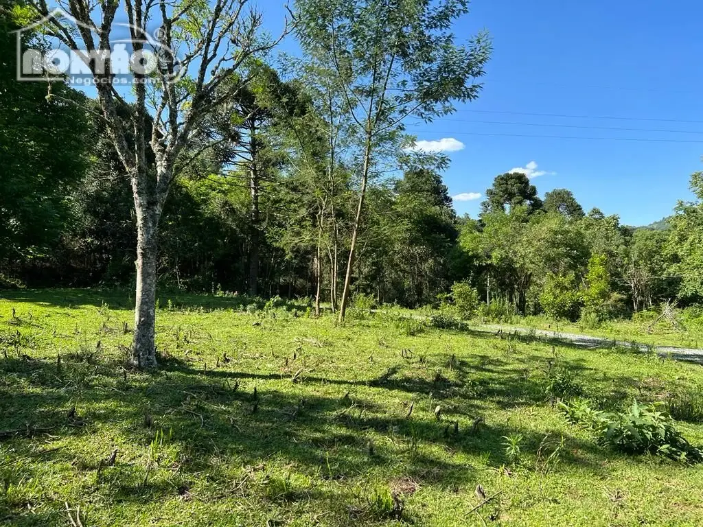 Terreno, 2 hectares - Foto 3