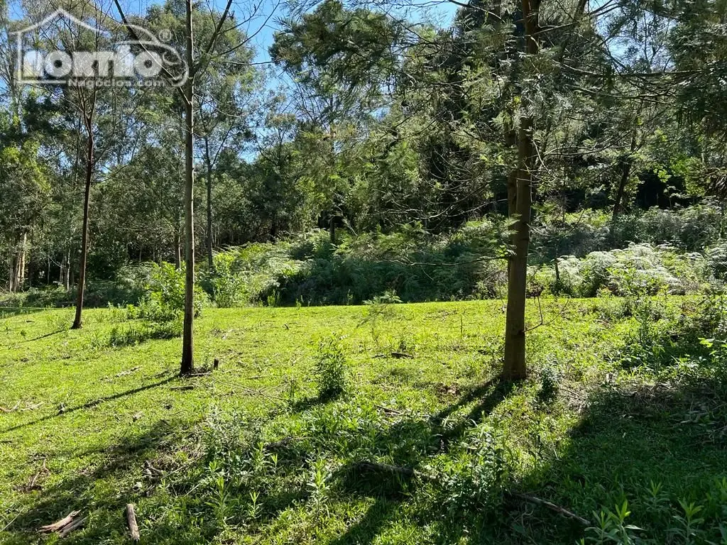 Terreno, 2 hectares - Foto 6