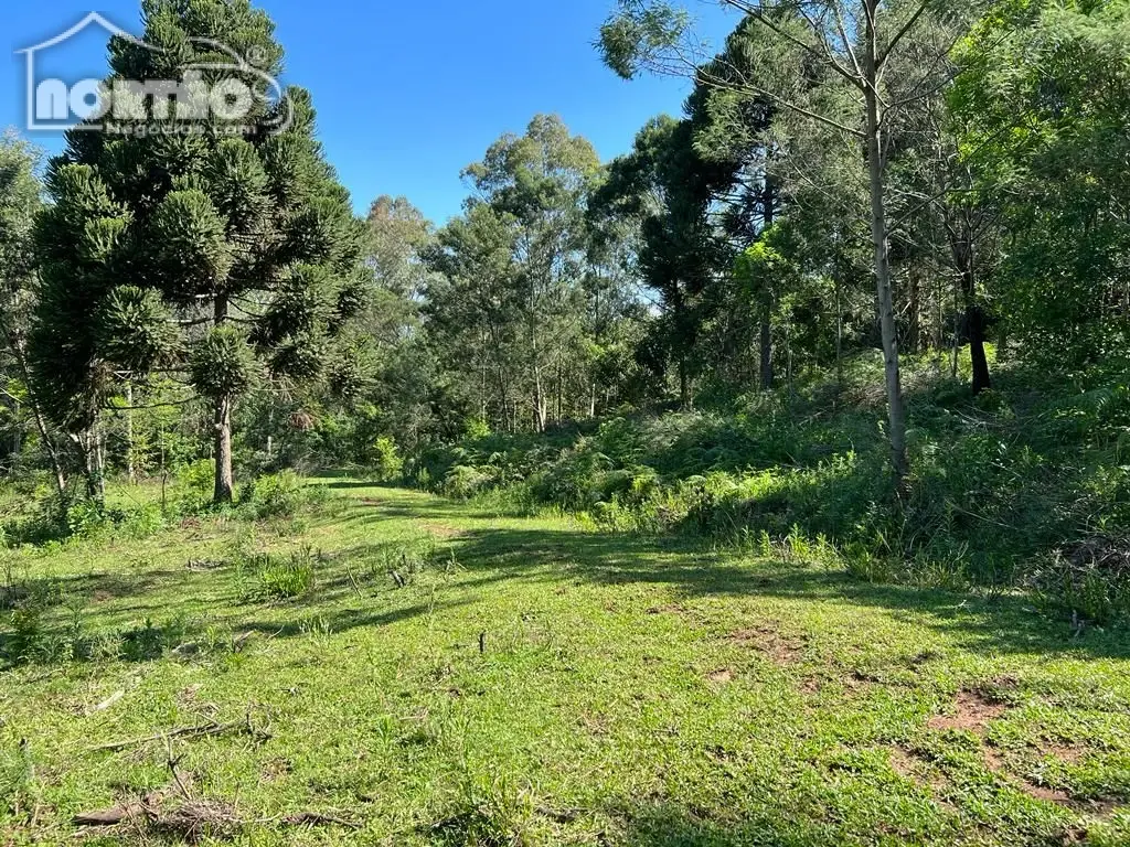 Terreno, 2 hectares - Foto 7