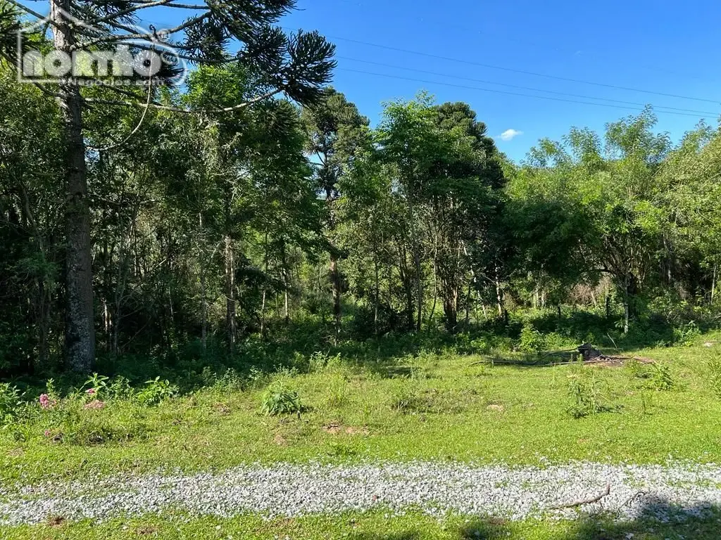 Terreno, 2 hectares - Foto 8