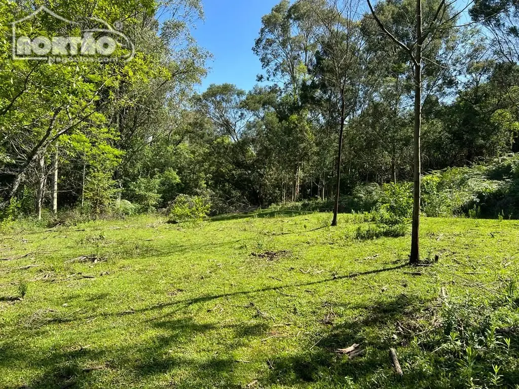 Terreno, 2 hectares - Foto 9