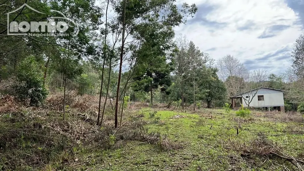 Terreno, 2 hectares - Foto 10