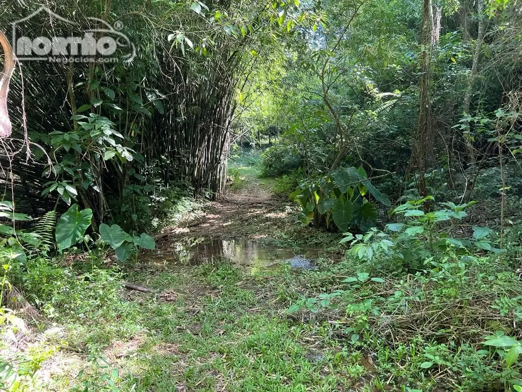 Terreno, 2 hectares - Foto 3