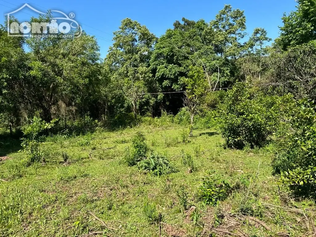 Terreno, 2 hectares - Foto 4