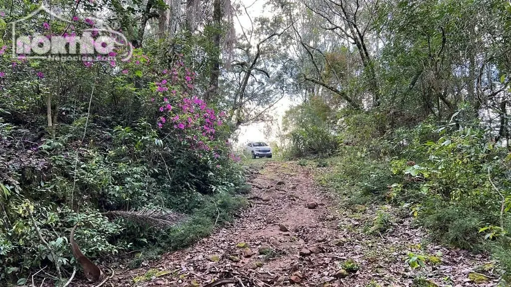 Terreno, 2 hectares - Foto 6