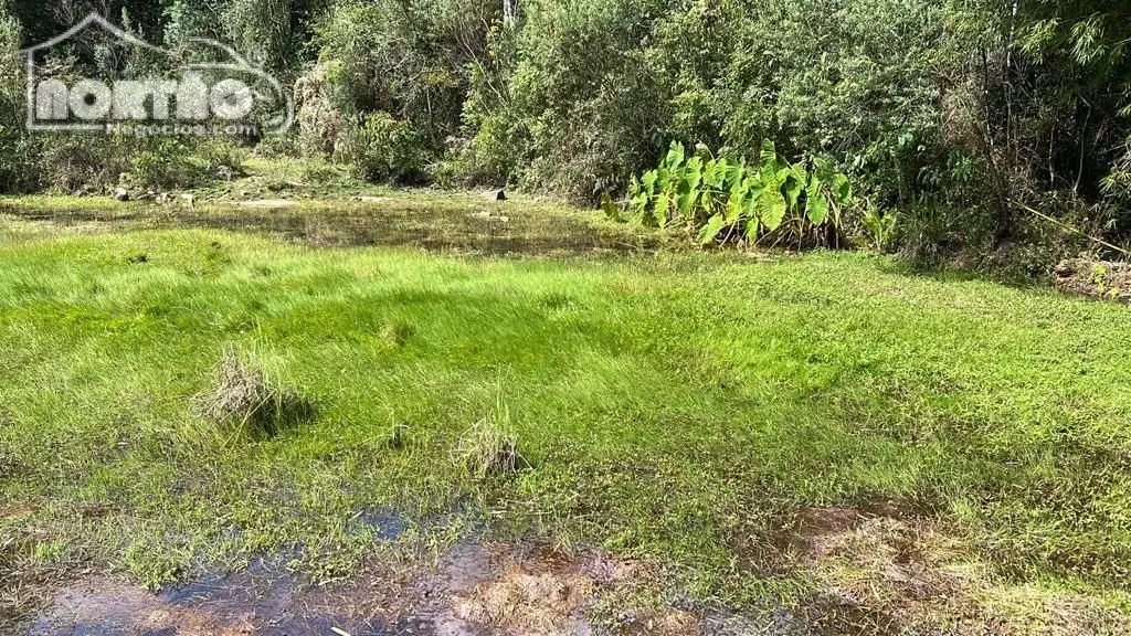 Terreno, 2 hectares - Foto 4