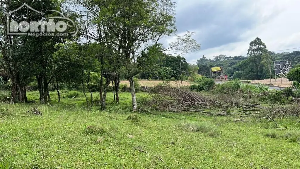 Casa - Foto 2