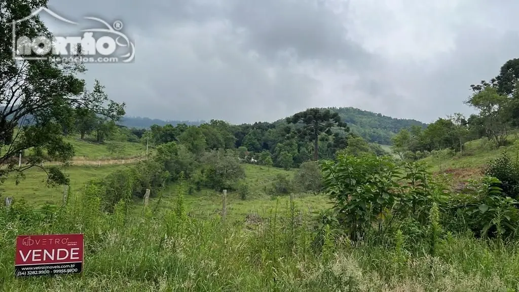 Casa - Foto 4