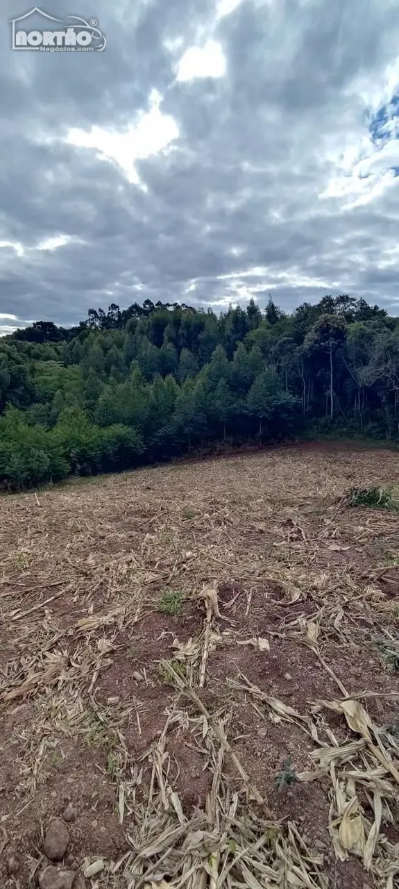Casa, 20000 m² - Foto 2