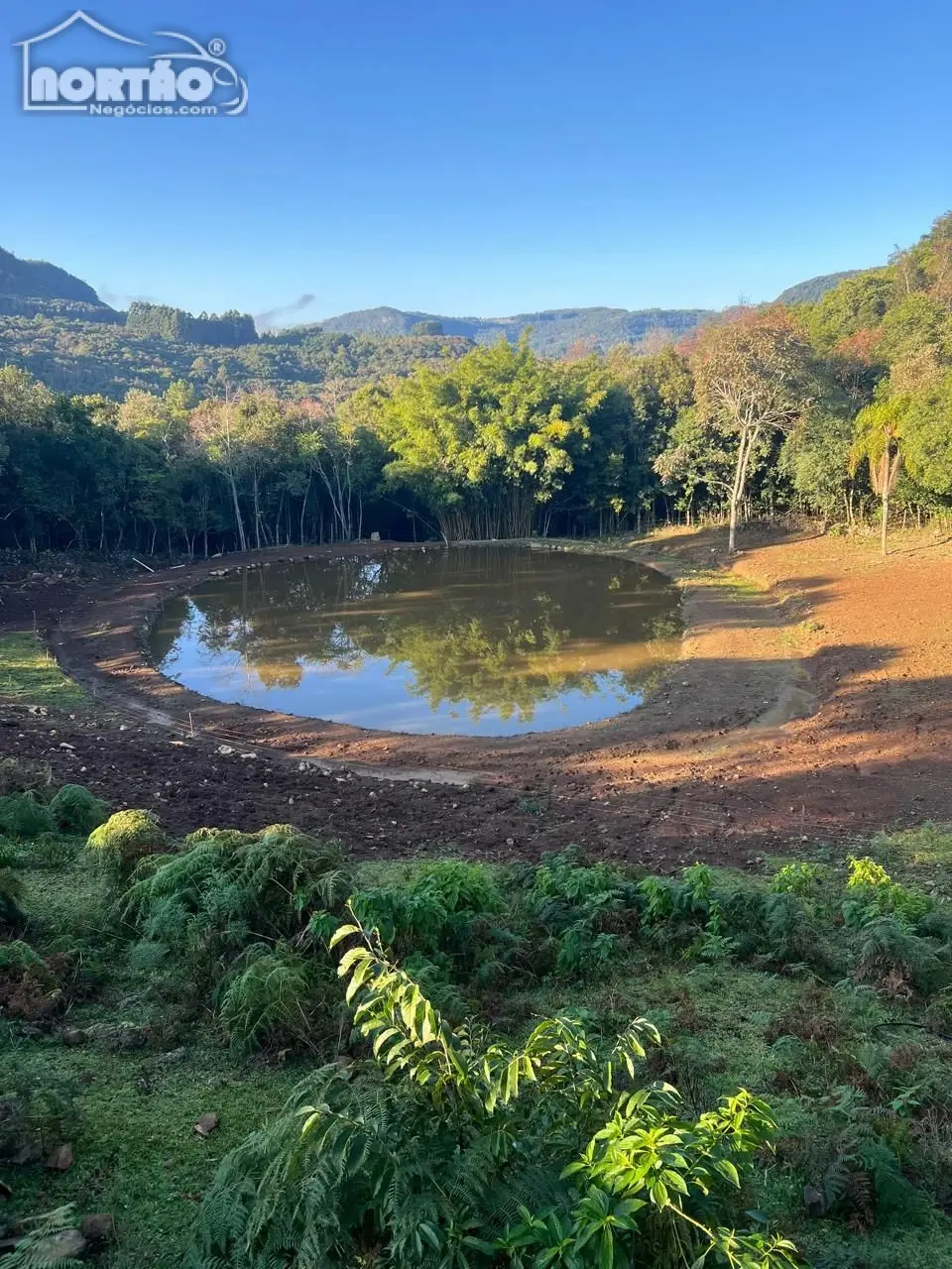Casa, 20000 m² - Foto 9