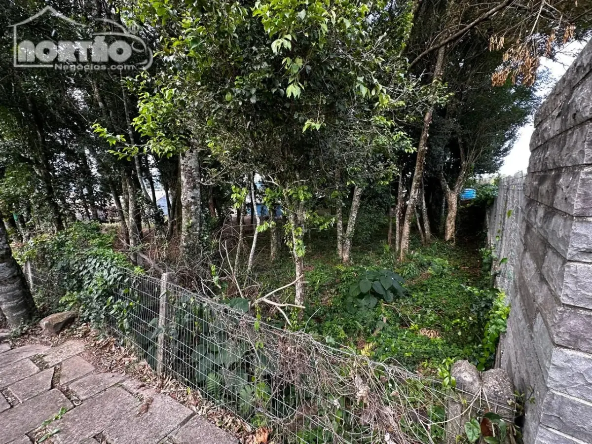 Casa, 490 m² - Foto 6