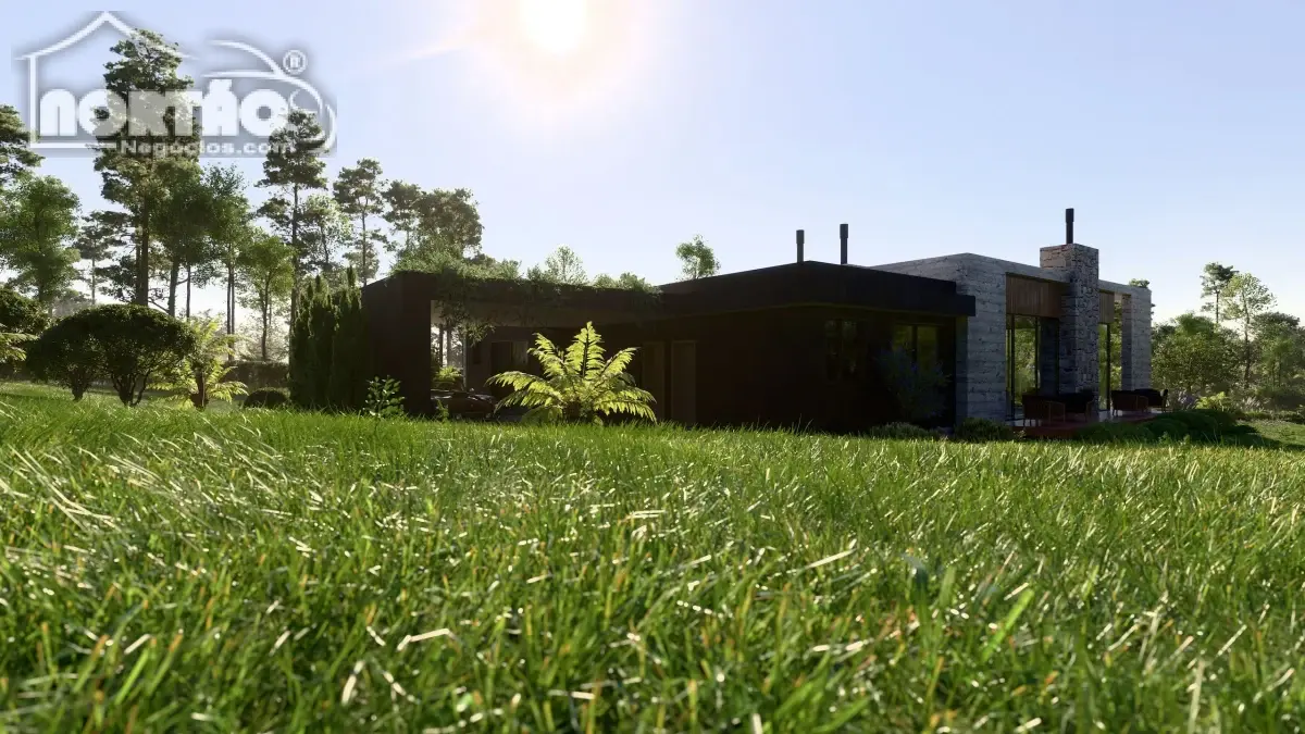 Casa, 4 quartos, 367 m² - Foto 6