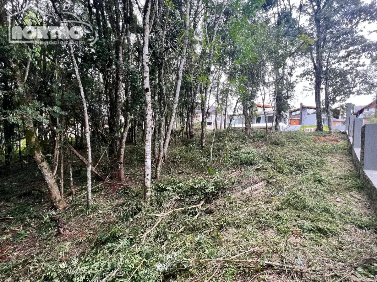 Casa, 390 m² - Foto 2