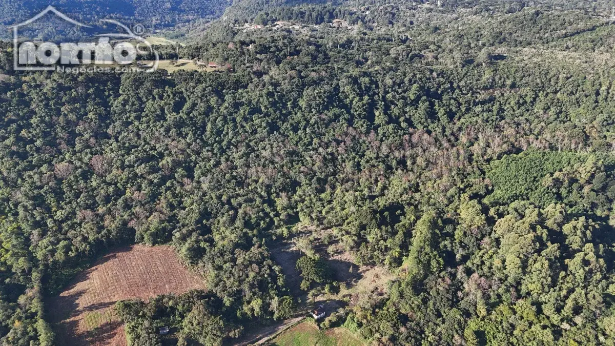 Casa, 114000 m² - Foto 5