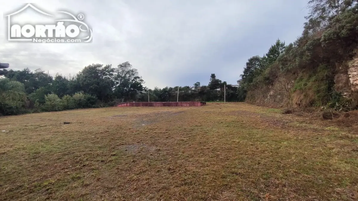 Casa, 4500 m² - Foto 3