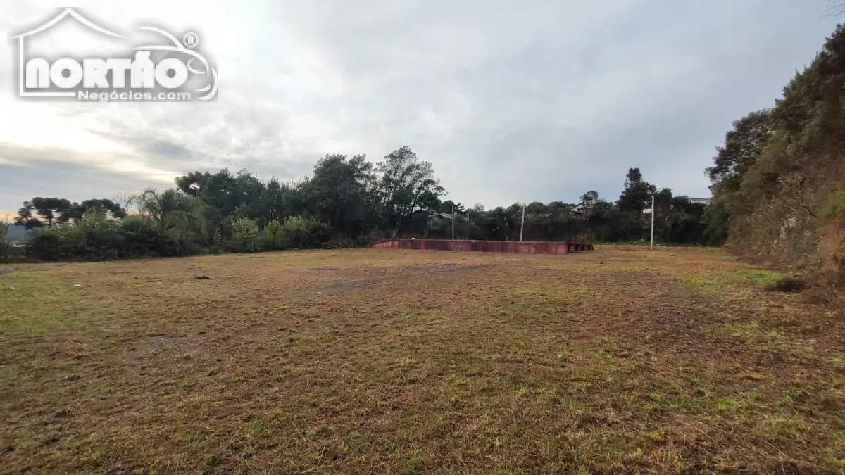 Casa, 4500 m² - Foto 6