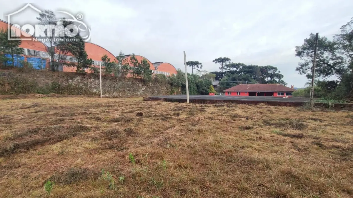 Casa, 4500 m² - Foto 8