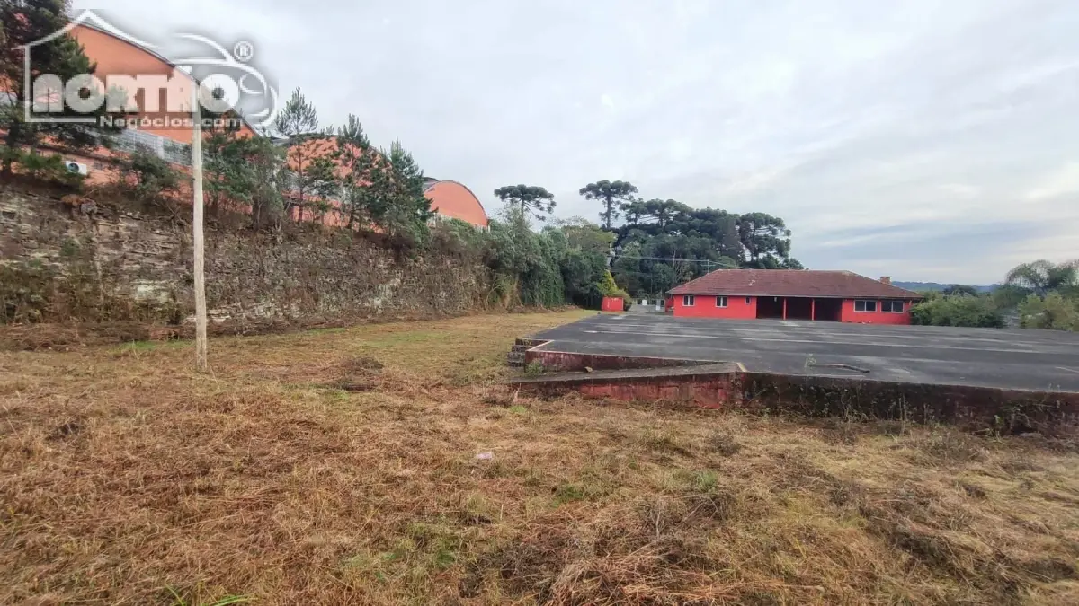 Casa, 4500 m² - Foto 9