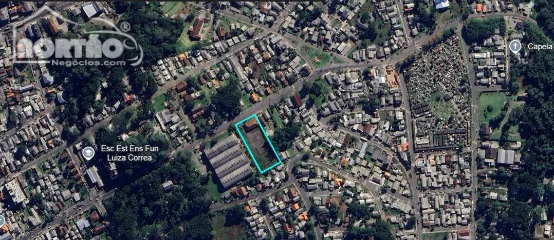 Casa, 4500 m² - Foto 10
