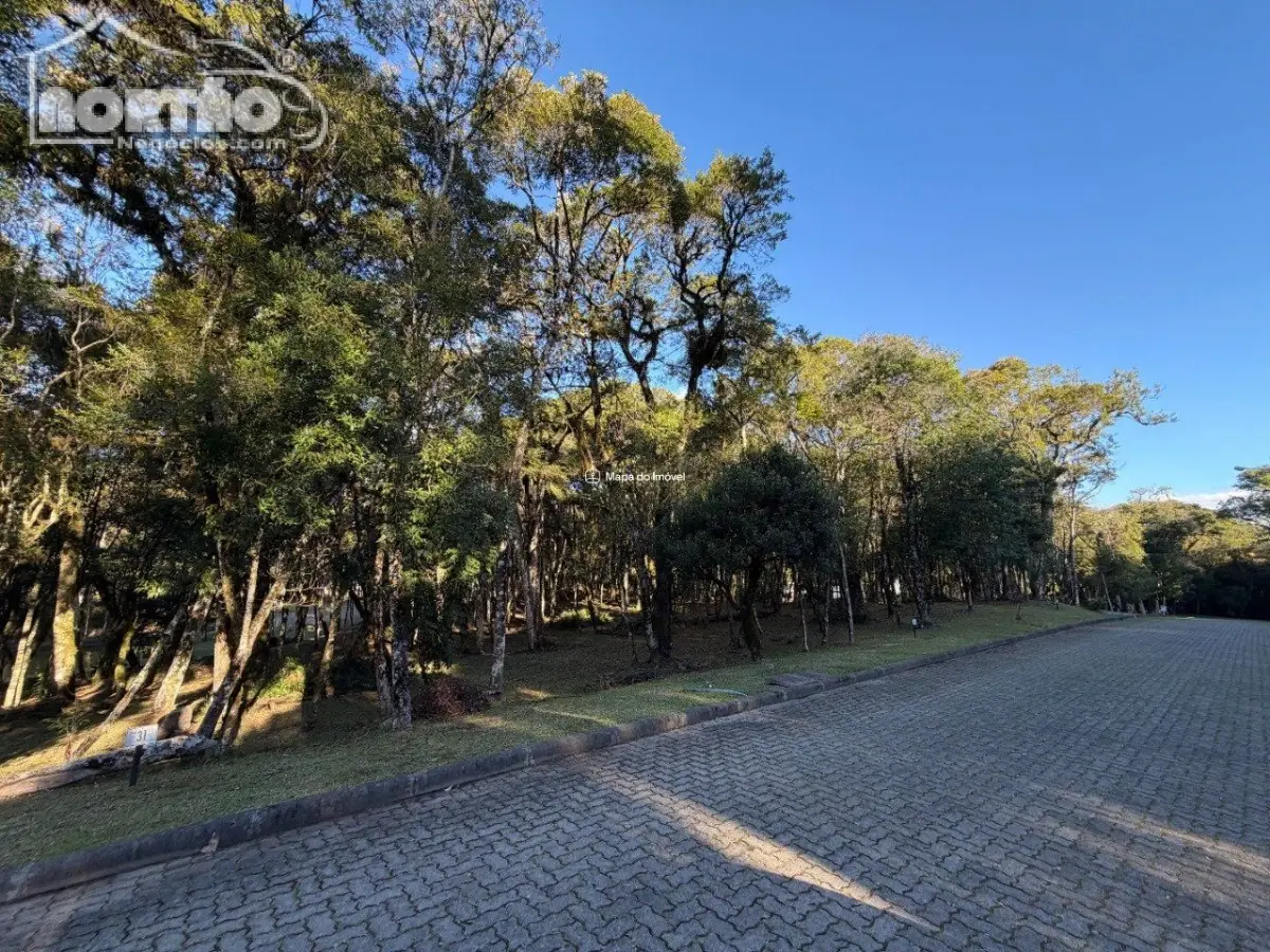Casa, 450 m² - Foto 5
