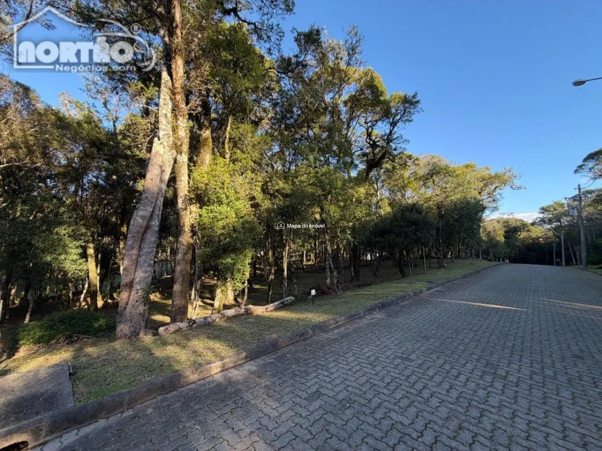 Casa, 450 m² - Foto 6