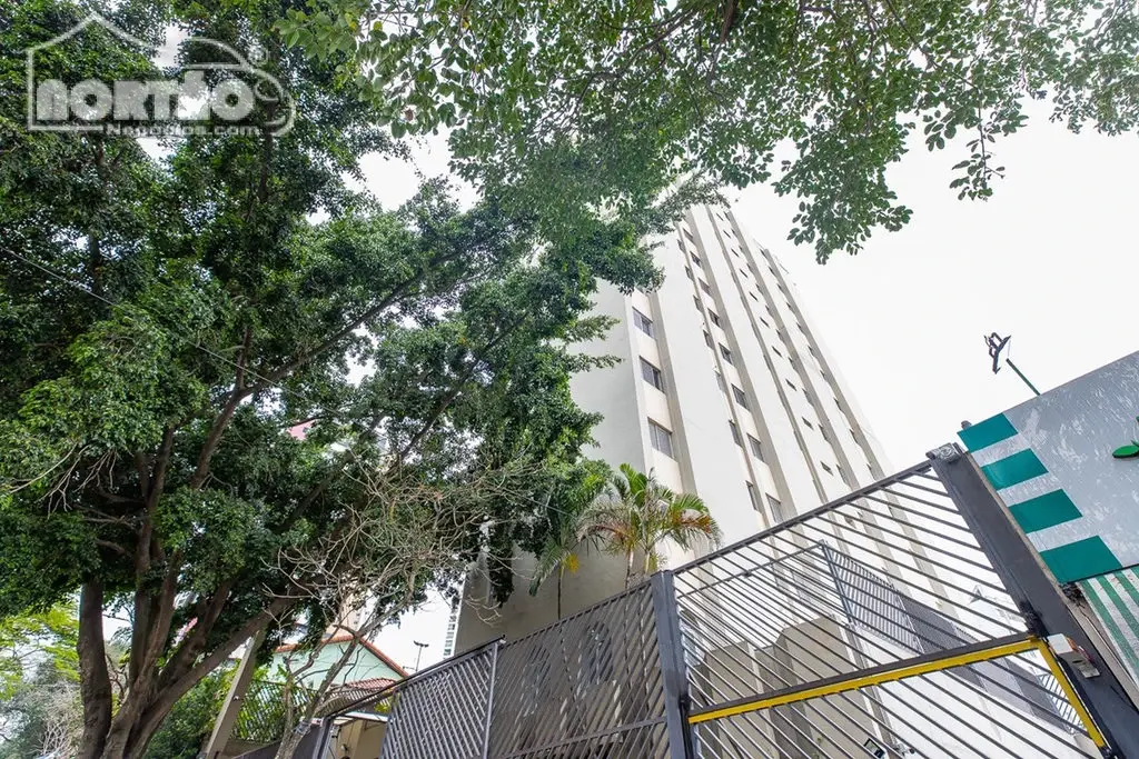 Casa, 2 quartos, 43 m² - Foto 3