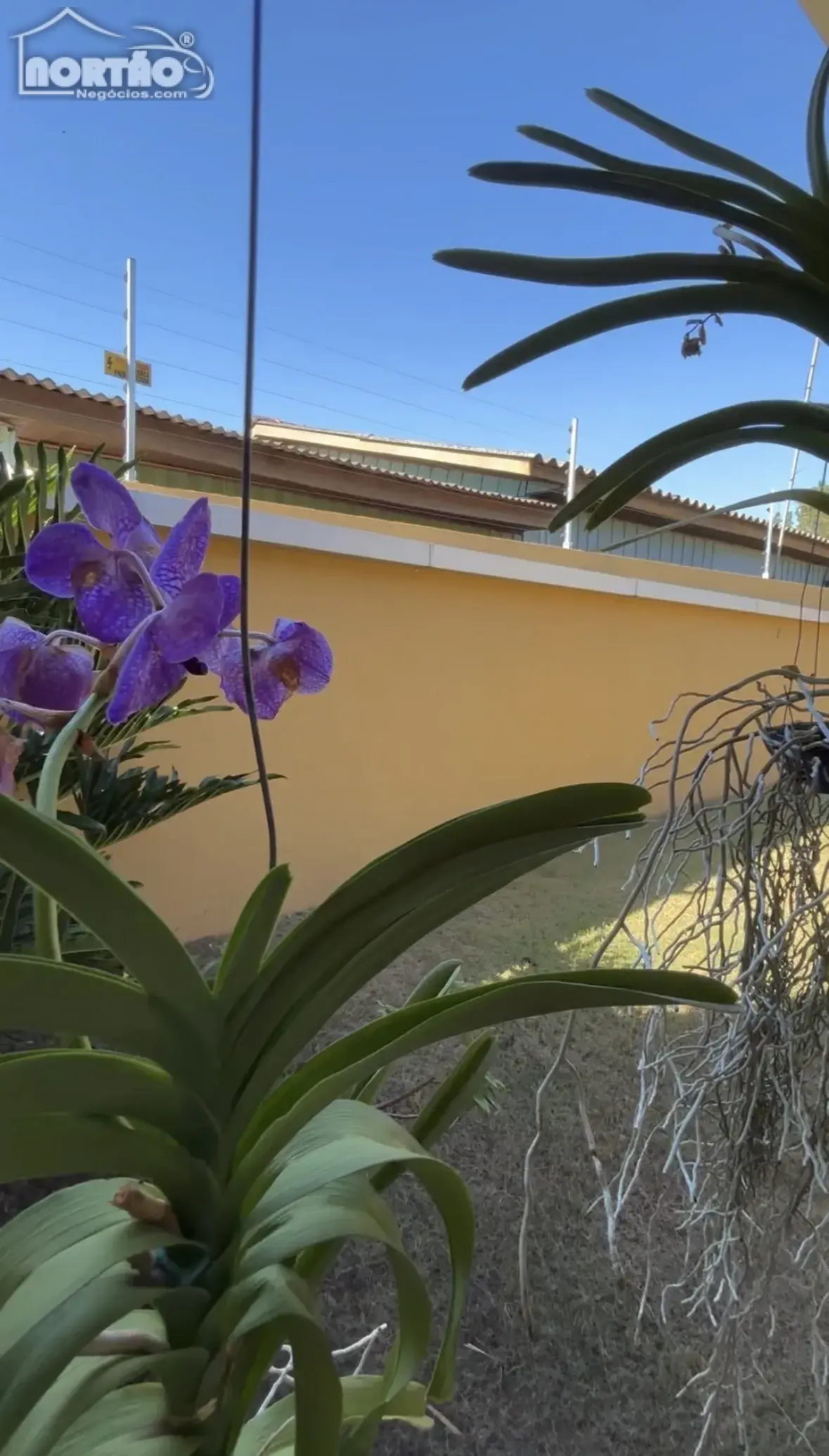 Casa, 3 quartos, 170 m² - Foto 7