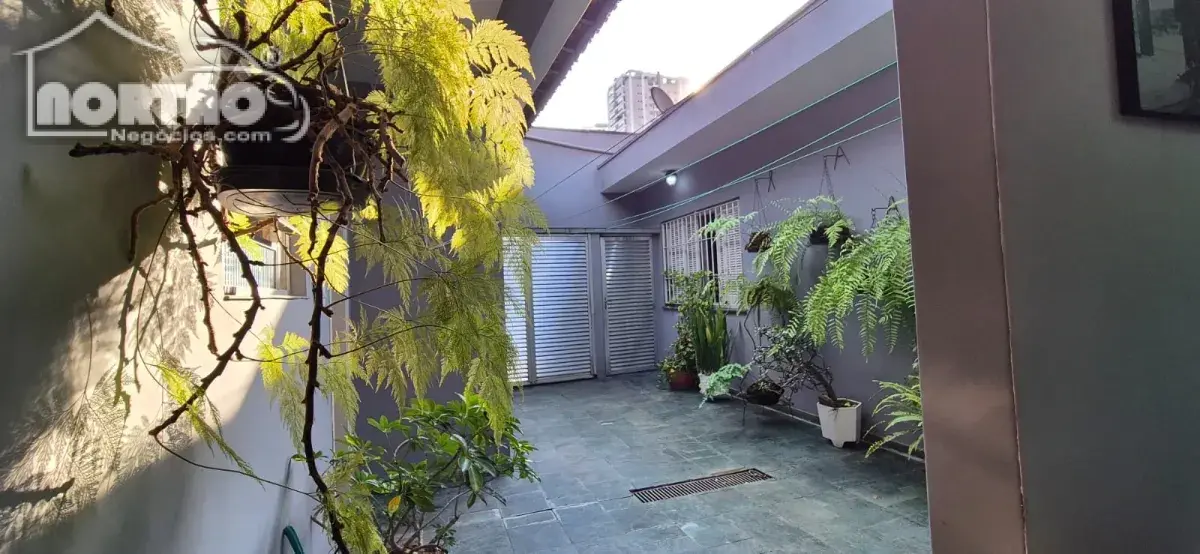 Casa, 5 quartos, 200 m² - Foto 8