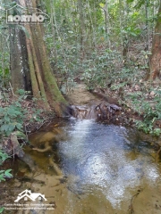 FAZENDA a venda no BR 163 em Guarantã do Norte/MT