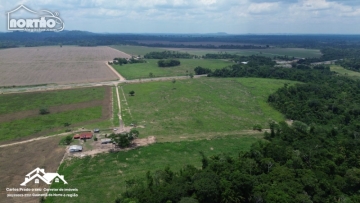FAZENDA a venda no BR 163 em Novo Progresso/PA